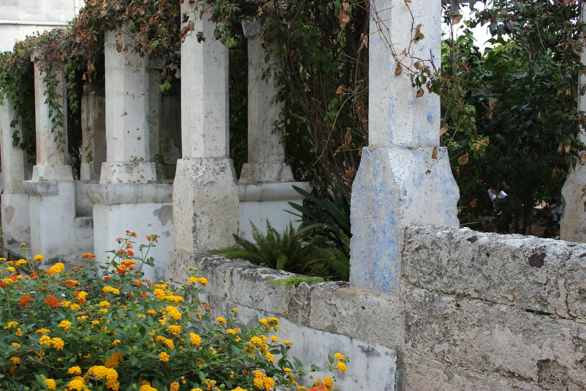 Farm stay Masseria Pagani *