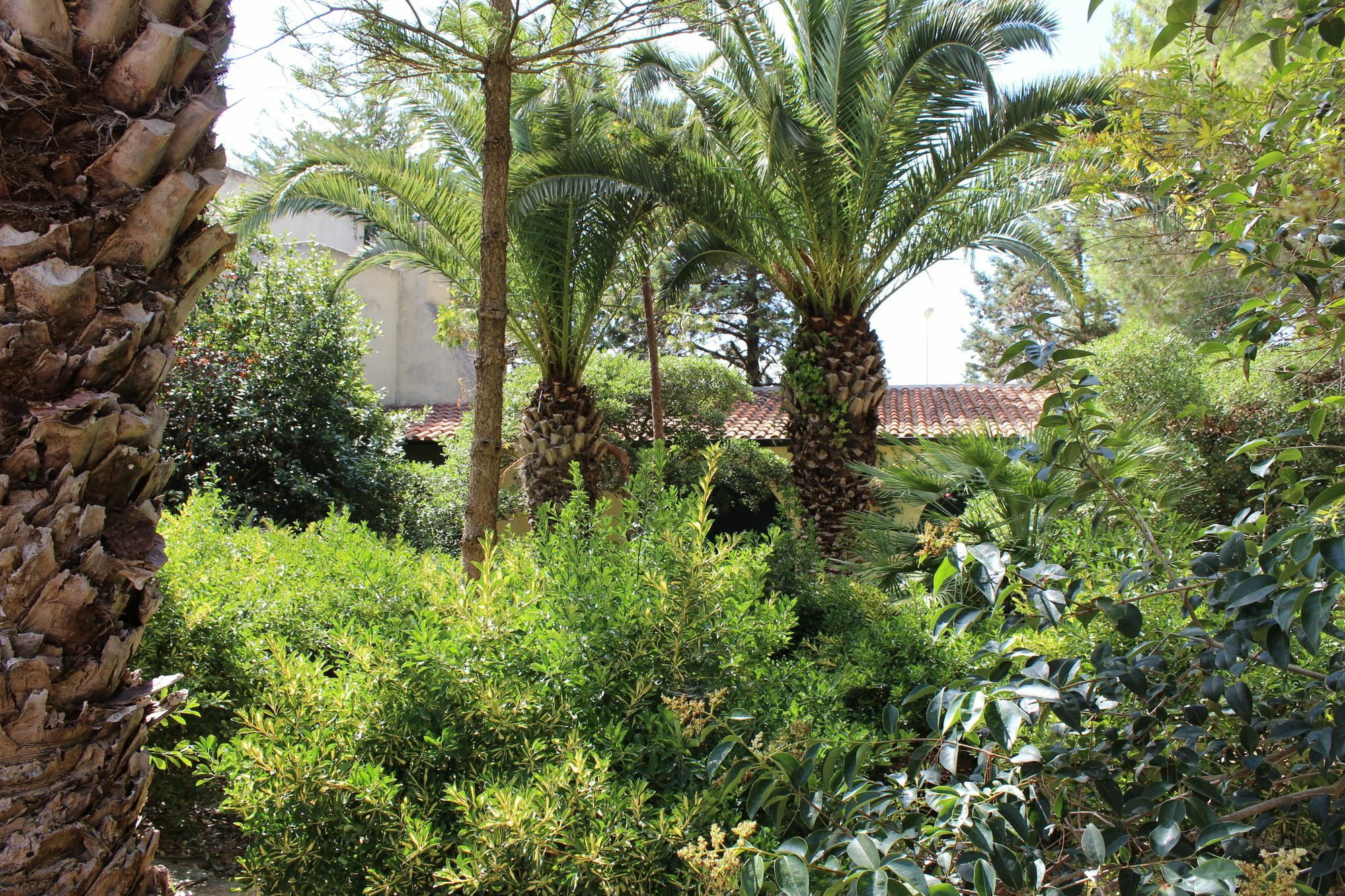 Farm stay Masseria Pagani *